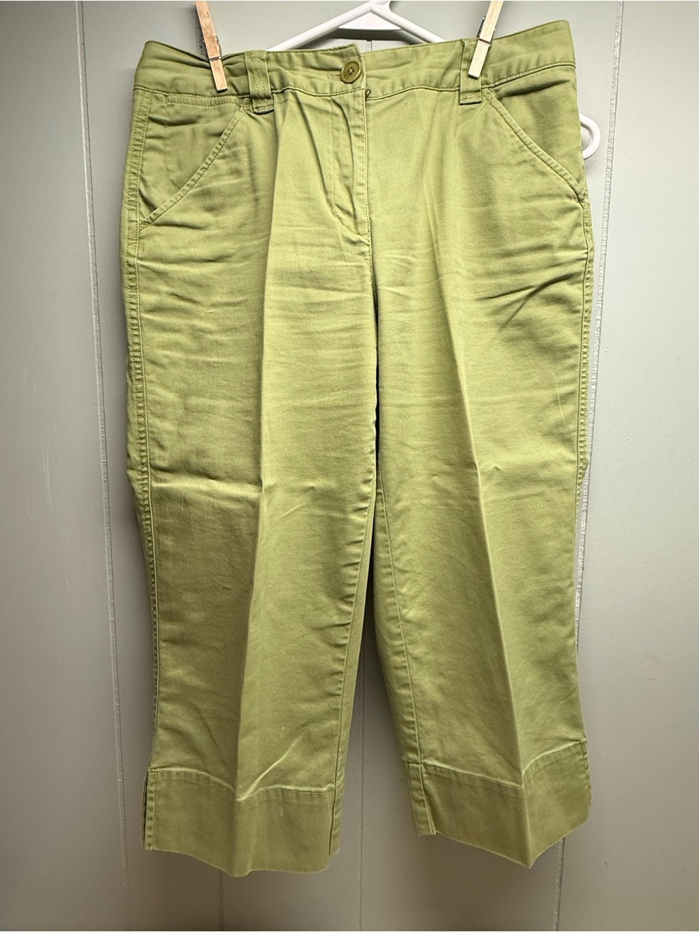 Talbots Olive Green Petite Stretch Pants